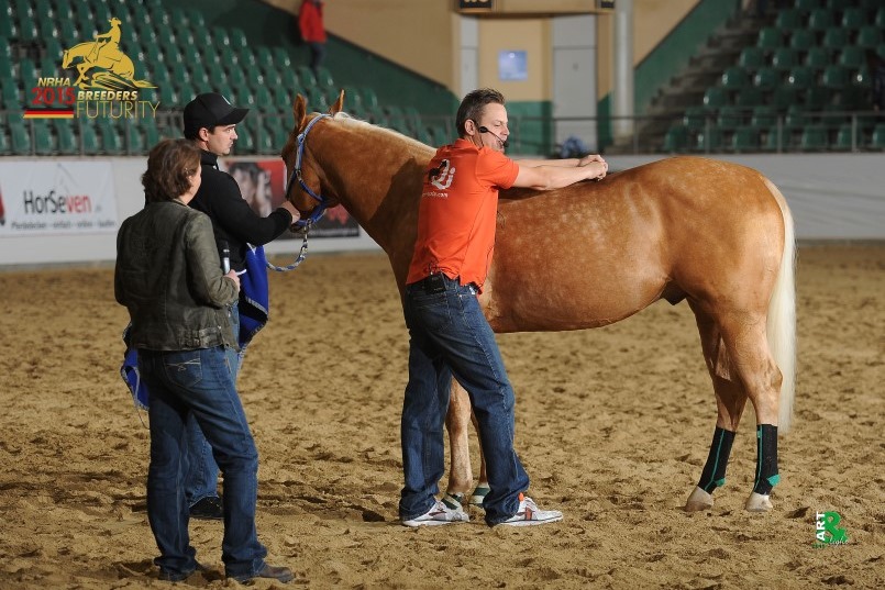 Benjamin Kohl behandelt ein Pferd auf der Breeders Futurity 2015