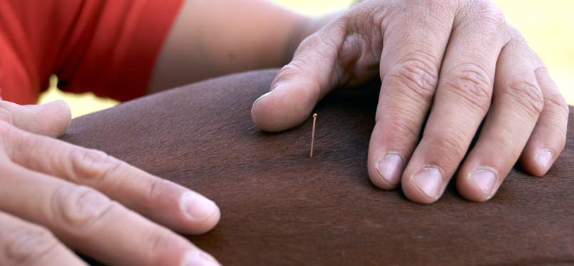 Benjamin Kohl behandelt ein Pferd mit Akupunktur